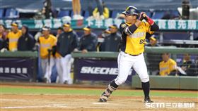 ▲中信兄弟內野手張志強。（圖／記者劉彥池攝影）