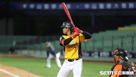 ▲中信兄弟外野手張志豪。（圖／記者劉彥池攝影）