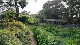 台北市,文化大學,教職員,陳屍