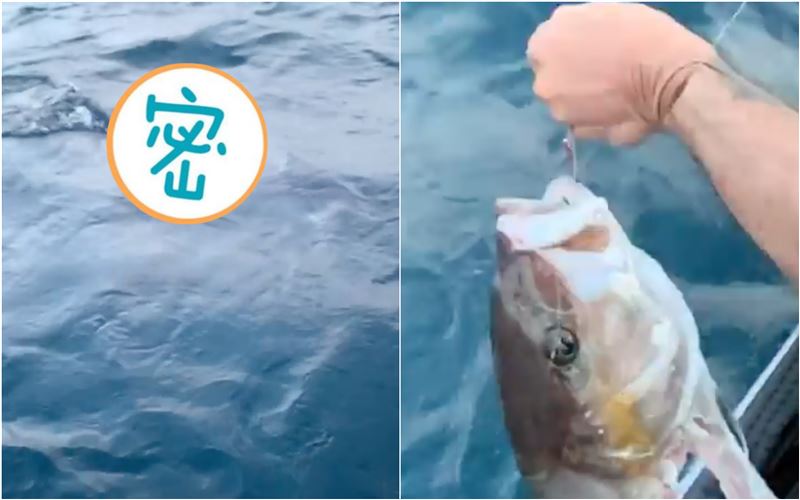 驚悚　海邊釣起巨大「斷頭魚」狂噴血