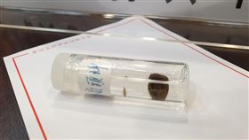 台灣首例　男疑遭蜱蟲咬染發熱伴血小板減少症衛生福利部疾病管制署19日公布，國內首度出現發熱伴血小板減少綜合症確定病例，為一名常到山區活動的70多歲男性，疑遭蜱蟲叮咬染病。中央社記者陳偉婷攝　108年11月19日