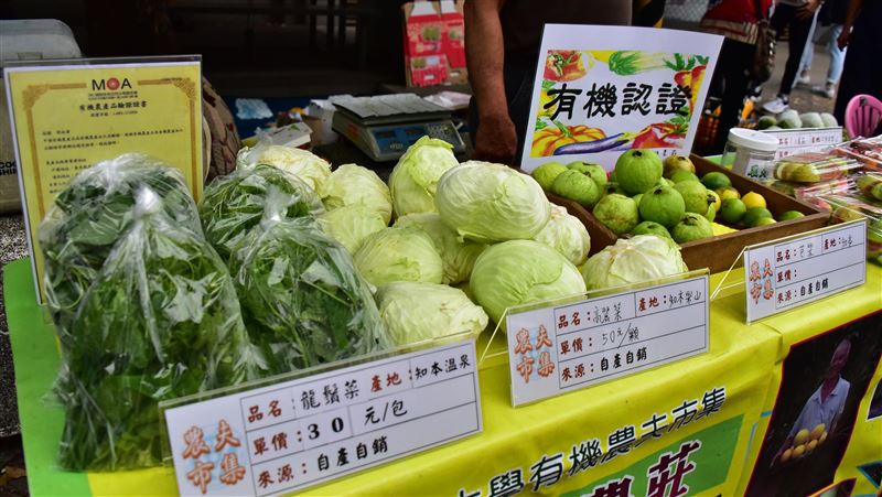 吃當地食當季　台東大學開辦農夫市集