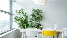 名家專用／草根影響力新視野（勿用）