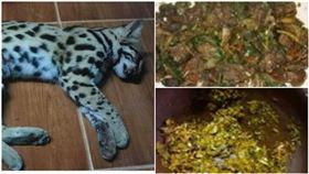  博關注？她炫耀晚餐吃「辣炒花豹」…網一看全怒了：不要臉（圖／翻攝畫面）