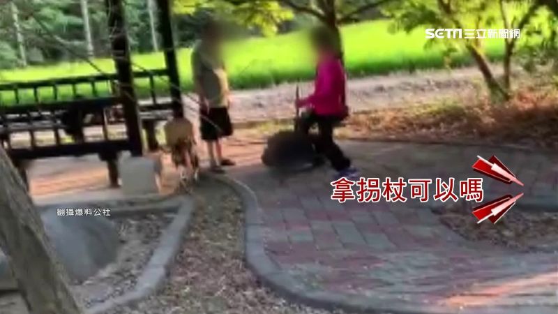 運動「動肝火」！台中婦怒踹阿伯頭