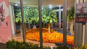 一朵花開，一份祝福 花與愛零距離
農糧署、台北花市正向防疫，國產花卉傳遞幸福能量
