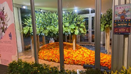 全民齊心抗疫！國產花卉傳遞正能量