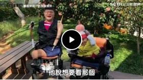 玻璃娃娃錯誤訊息