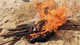 金門,烈嶼,非洲豬瘟,海漂豬屍,小金門,病毒株