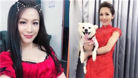 洪藝珊 圖/臉書