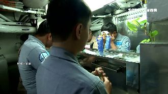 有症狀未回報？醫：船過敏原多難發覺