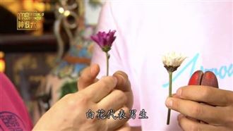 夫妻不孕怎麼辦？老祖宗秘訣讓你好孕