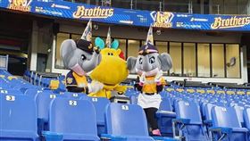 小翔、艾比和阿龍。（圖／中信兄弟提供）