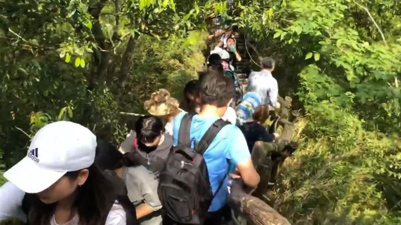 獨／「前胸貼後背」人潮擠炸大坑步道
