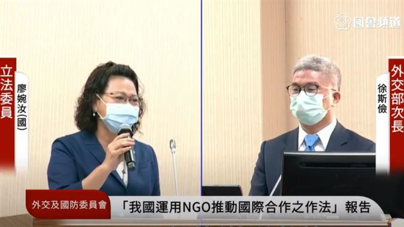 藍委要改「台灣能幫忙」原因竟是怕…