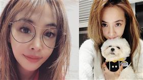 蔡依林,噴噴瓶,消毒,酒精,漂白水(翻攝自 蔡依林 IG)