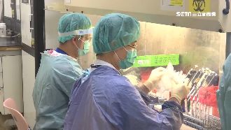 獨／1天半驗744人　醫護被急召回