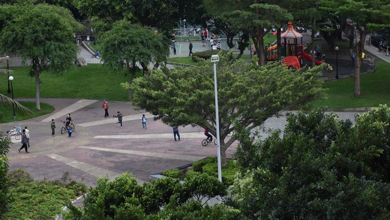 年青人運動聖殿大同公園young化