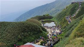 抹茶山（圖／讀者授權提供）