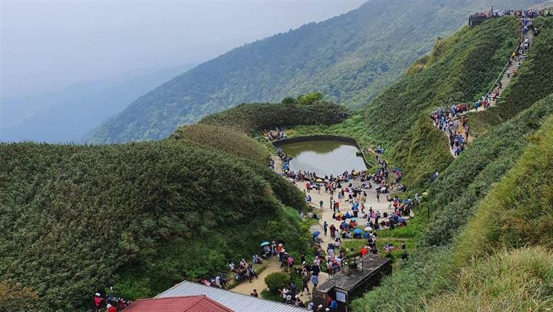 遊客塞爆宜蘭抹茶山　林管處出手管制