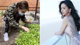 （圖／翻攝自微博）