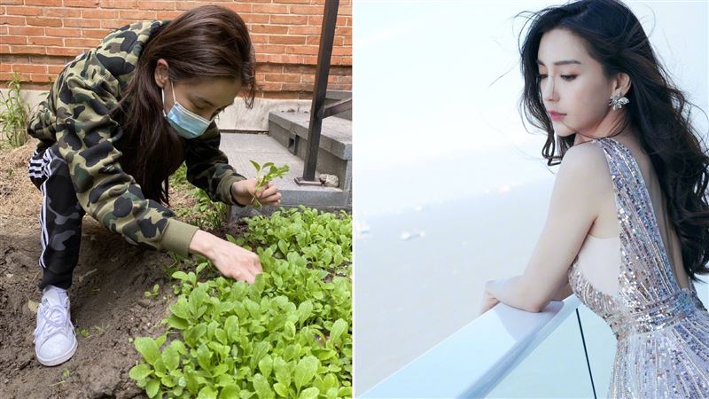 Baby素顏蹲地種菜　掀陸網暴動