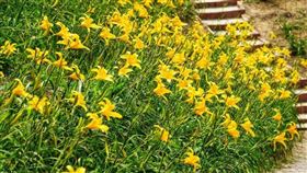 
 名家專用／台灣旅行趣（勿用）