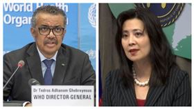 歐江安、譚德塞（組合圖／資料圖）