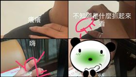 蟑螂,肩膀,圖解,圖說,示意圖,爆怨公社,驚嚇,表情