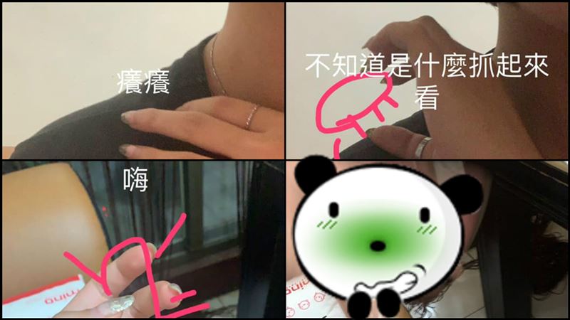 蟑螂爬肩膀正妹0偶包圖解　萬人笑噴