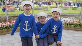 大韓民國萬歲 韓網 IG