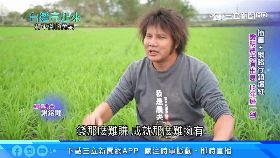 獨追磐石醫18001