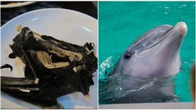 ▲白海豚。（圖／翻攝Pexel）