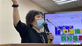 國民黨立委葉毓蘭（圖／記者林恩如攝影）