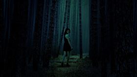 鬼月,陰森,樹林,森林,山路（圖／翻攝自pixabay）