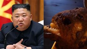 金正恩,食人魚（組合圖）