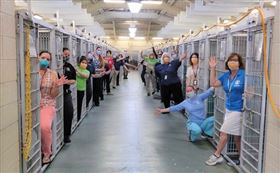 武漢肺炎疫情籠罩，寵物成了美國民眾克服寂寞的最佳夥伴，佛州一處收容所首見犬舍清空。（圖取自臉書）