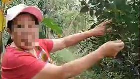 獨／趕侏儒罵「矮子」　狠婦身分曝光（圖／翻攝畫面）