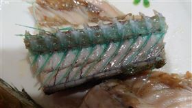 水針魚,骨頭,魚刺,綠色,詭異,重金屬,汙染,正常現象