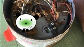 電鍋,壁虎乾,上等中藥材,燒焦,肉香,噁心