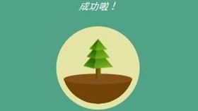 《Forest專注森林》更將虛擬種樹實體化，近5年內已經在非洲種植近73萬棵樹！
圖／翻攝自Forest APP