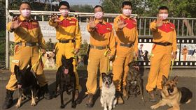 民眾踴躍申請領養退役搜救犬內政部消防署特種搜救隊搜救犬Hope（前左起）、Pumba、Chiang-Chiang、干擾犬Nala與搜救犬Shin今年退役，開放認養，共湧入105件申請。（消防署特搜隊提供）中央社記者蕭博陽南投縣傳真　109年4月24日