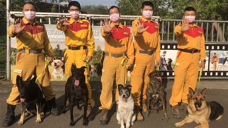 民眾認養退役犬　隊員樂見搭檔享清福
