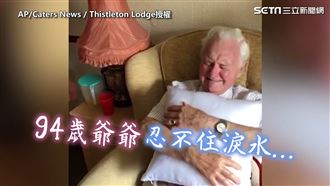94歲爺獲妻照片抱枕　立馬抱緊處理