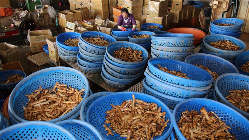 薑銷美30年最好契機　盼政府推一把