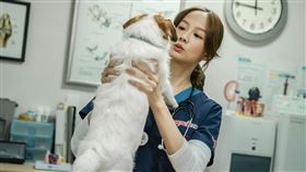 施名帥,連俞涵,簡嫚書,黑喵知情（LINE TV提供）