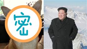 北韓,犬決,金正恩,死刑,犬種