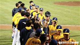 中信兄弟獲勝。（圖／記者林聖凱攝影）