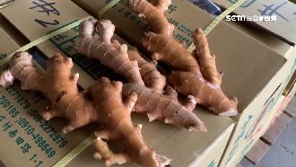 台老薑30年首度外銷美　農會盼補助