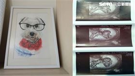 愛犬投胎當小孩／蔡先生授權提供